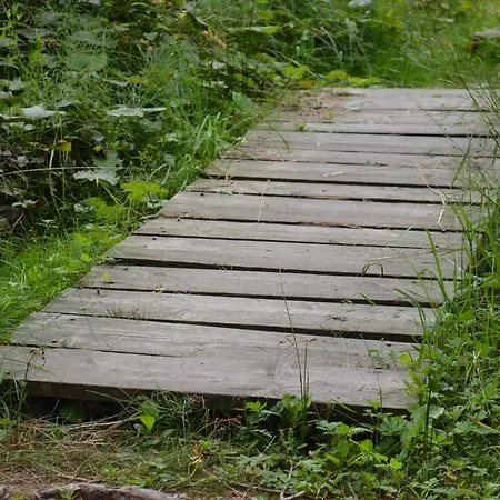 Huberhof Im Almenland 아파트 *