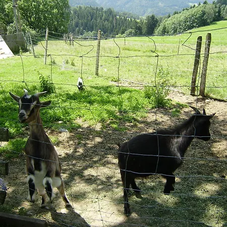 아파트 Huberhof Im Almenland *