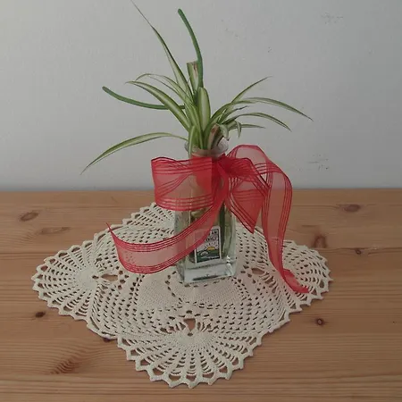 Huberhof Im Almenland 아파트 *