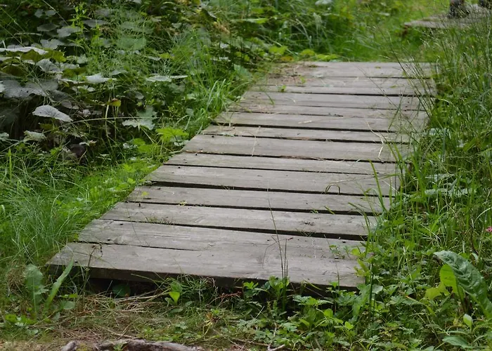 Huberhof Im Almenland Appartamento *