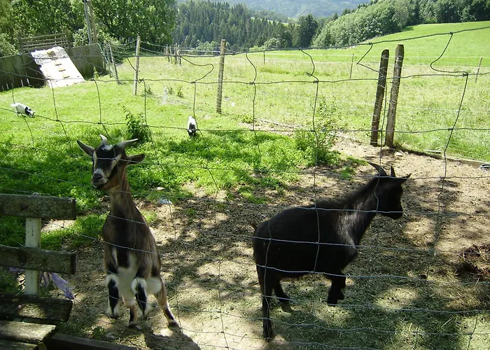 Appartamento Huberhof Im Almenland *