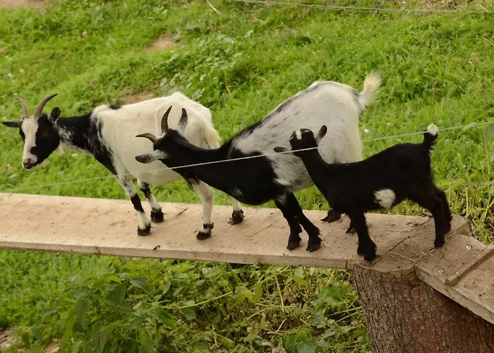 Huberhof Im Almenland شقة *
